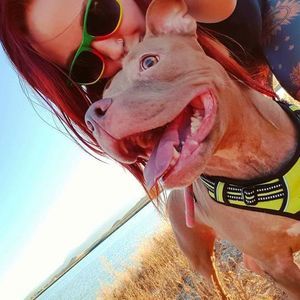 Meet your Posher, Allison